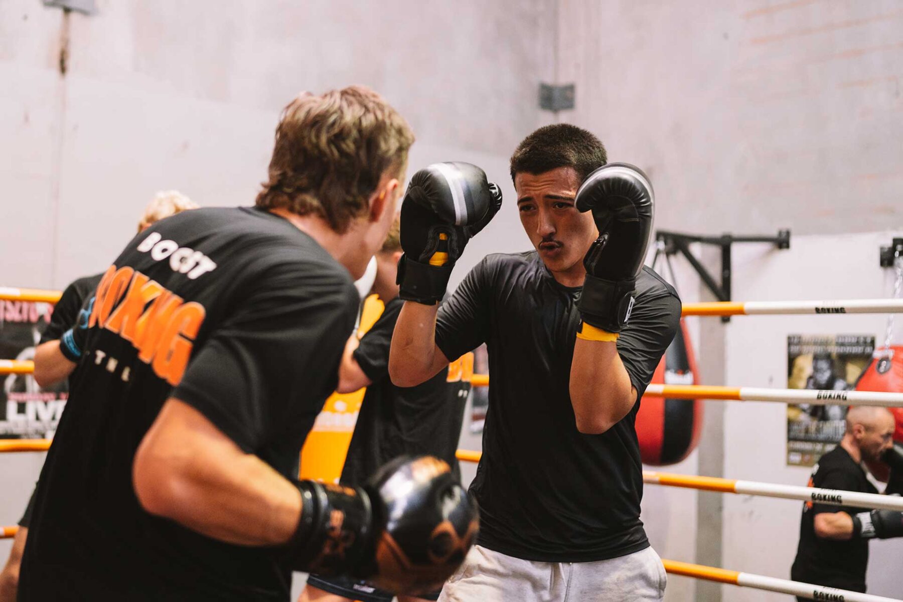 Two males boxing training in ring